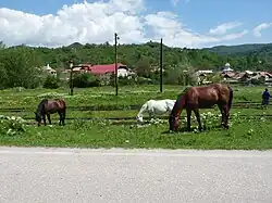 Pietroșița
