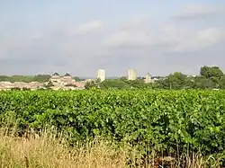 A general view of Pignan