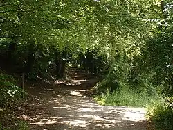 Image 25 Credit: Oliver Dixon The Pilgrims' Way is the route supposed to have been taken by pilgrims from Winchester in Hampshire, England, to the shrine of Thomas Becket at Canterbury in Kent. More about the Pilgrims' Way... (from Portal:Kent/Selected pictures)
