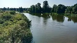 Pilica River in Biejków
