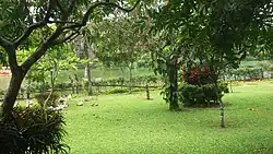 Pilikula Botanical Garden - Ducks taking rest