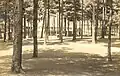 Pine Grove Springs Hotel, Spofford Lake in 1913