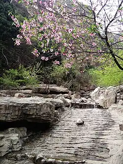 A stream at the foot of Mount Langya