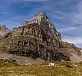 Southeast aspect