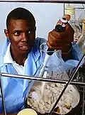 Man pipetting viscous solution