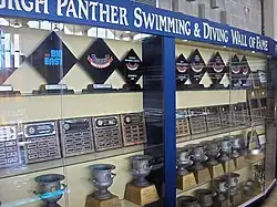 Swimming trophies case