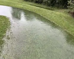 Maximum discharge