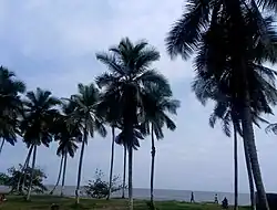 Image 14Kribi Beach (from Tourism in Cameroon)