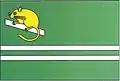 Flag of Plchovice