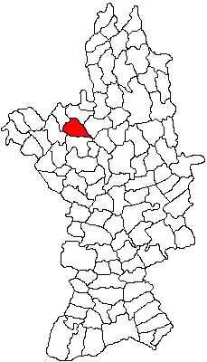 Location in Olt County
