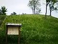 Plinkaigalis hillfort