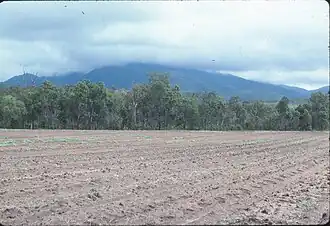 Ploughed paddock, Mutarnee, 1984