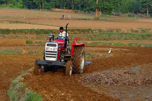 In 2019, 43% of India's total workforce was employed in agriculture.[280]