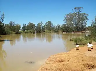 Small lake in Plumpton Park