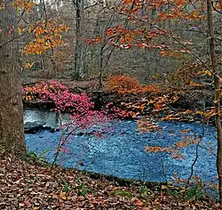 The river flowing through Rockefeller State Park Preserve