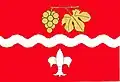 Flag of Podmolí