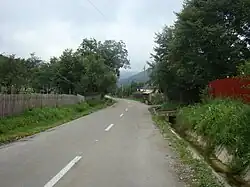Poiana Crăcăoani village