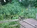 Pond in Railway Fields