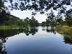A pond in Nagarkanda upazila