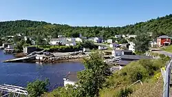 Pool's Cove from a Hill