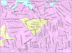 U.S. Census map