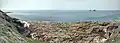 Panorama of Porth Nanven