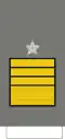 Coronel-tirocinado (Portuguese Army)[14]