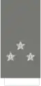 Tenente-general[42] (Portuguese Army)