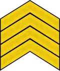 Primeiro-sargento (Portuguese Army)[38]