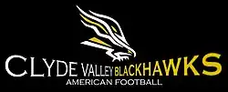 Clyde Valley Blackhawks logo