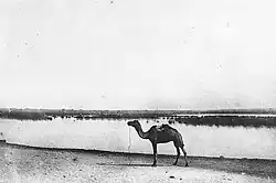 Keita's permanent pond. Adr'ar' of Tahoua.