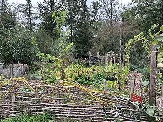 Guédelon vegetable garden, Treigny-Perreuse-Sainte-Colombe.