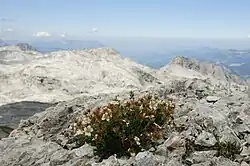 At 2,360 m (7,740 ft) on the slopes of Bleikogel