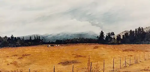 "Potrero en Melipilla"