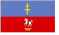 Flag of Włoszczowa County