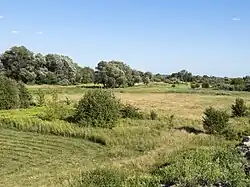 Łąki Kośne, a grass field in Powsinek.