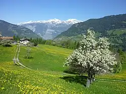 Fields outside Maladers village