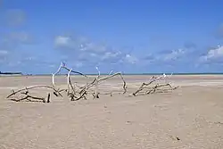 Paripueira Beach