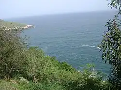 Turtle Stone Head and the Sea