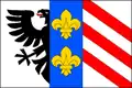 Flag of Brankovice