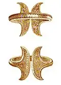 Bracelet from unknown Transylvania findspot[76] It belongs to the series of bracelets from Pipea – Biia – Boarta