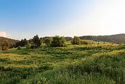 Natural landscape in Prigorodny District