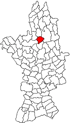 Location in Olt County