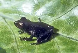 alt=Refer to caption