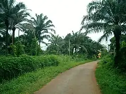 Village road in Awka-Etiti
