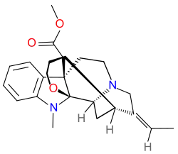 General structure of pseudoakuammigine.