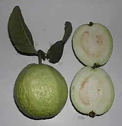 White guava