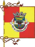 Flag of Condeixa-a-Nova