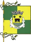 Flag of Tocha