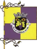Flag of Carregal do Sal